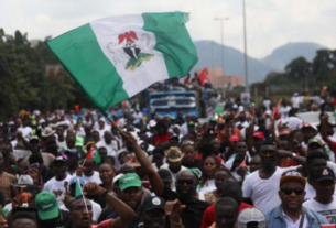 Nigerian crowd with flag